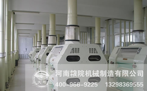 ۻ豸